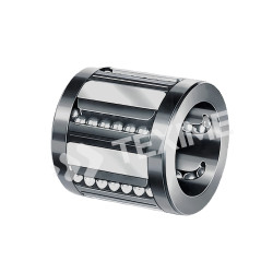 Segmental linear bushing R066801630